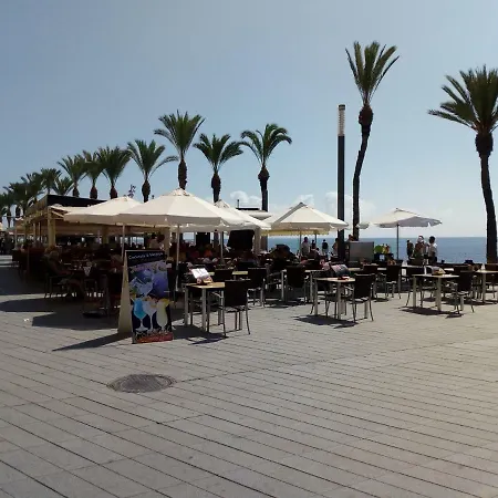 Edificio 1º Linea De Playa, En Paseo Maritimo De Torrevieja, Alicante, Costa Blanca Διαμέρισμα Τορεβιέχα